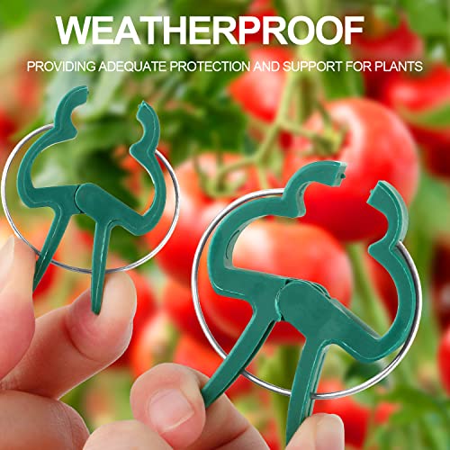 Yinghezu 40 Pcs Plant Support Clips,Flower and Vine,Garden Tomato Plant Support Clips for Supporting Stems,Vines Grow Upright Climbing,Tool for Straightening,Tomato Cage,Trellis. 2 Sizes in one Pack - Image 2