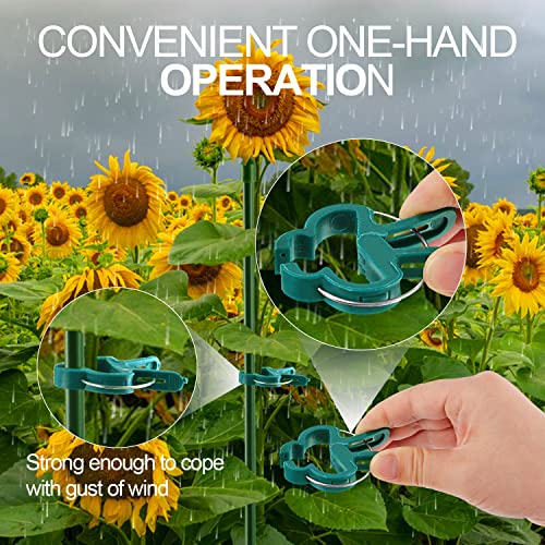 Yinghezu 40 Pcs Plant Support Clips,Flower and Vine,Garden Tomato Plant Support Clips for Supporting Stems,Vines Grow Upright Climbing,Tool for Straightening,Tomato Cage,Trellis. 2 Sizes in one Pack - Image 4