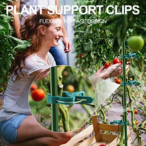 Yinghezu 40 Pcs Plant Support Clips,Flower and Vine,Garden Tomato Plant Support Clips for Supporting Stems,Vines Grow Upright Climbing,Tool for Straightening,Tomato Cage,Trellis. 2 Sizes in one Pack - Image 5