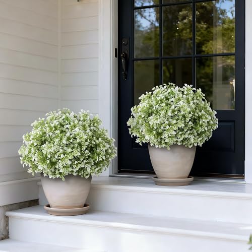 FOTEEWL Set of 2 Artificial Boxwood Topiary Ball Trees for Front Door - Realistic Faux Aglaia Odorata Bush with Pot, Fake Eucalyptus Leaves Potted Plants for Porch Farmhouse Outdoor Decor (White-Green) - Image 2