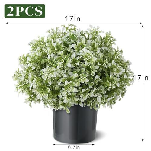 FOTEEWL Set of 2 Artificial Boxwood Topiary Ball Trees for Front Door - Realistic Faux Aglaia Odorata Bush with Pot, Fake Eucalyptus Leaves Potted Plants for Porch Farmhouse Outdoor Decor (White-Green) - Image 5