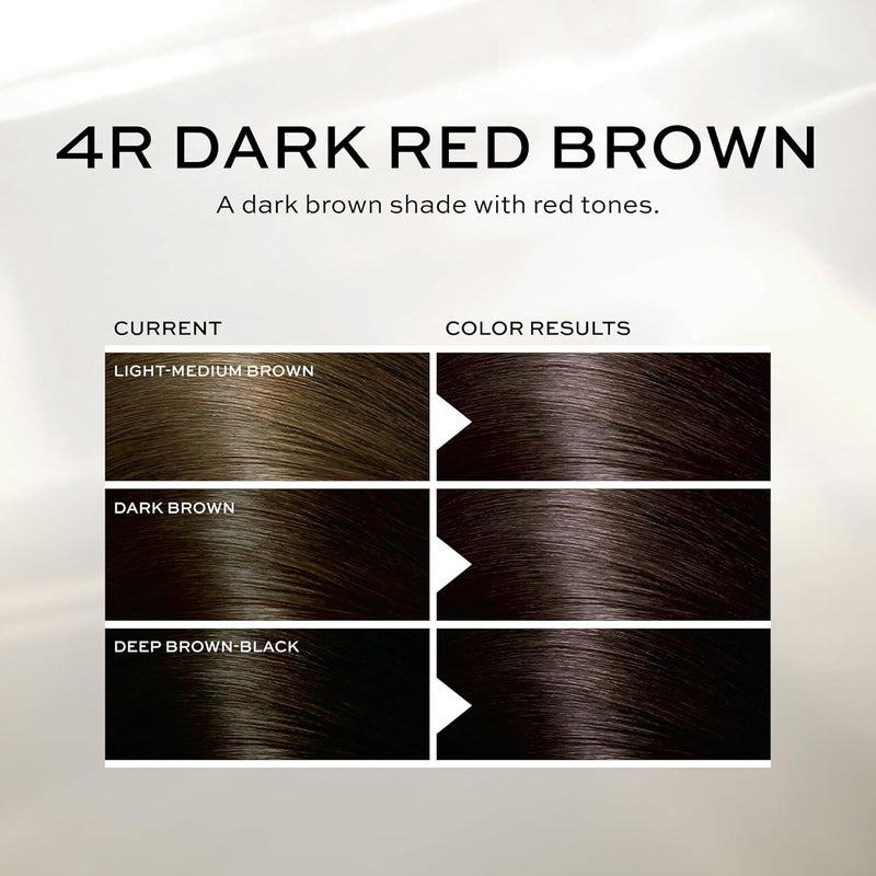John Frieda Precision Foam Colour Dark Red Brown 4R - Full-Coverage Hair Color Kit with Anti-Fade Gray Coverage - Image 4
