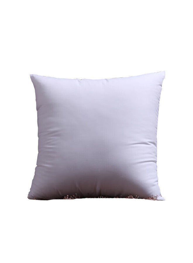 Avivi Home Textiles High-elasticity Sofa Cushion Core Car Seat Pad Core Office Chair Cushion Core 45*45cm Single Piece - Image 4