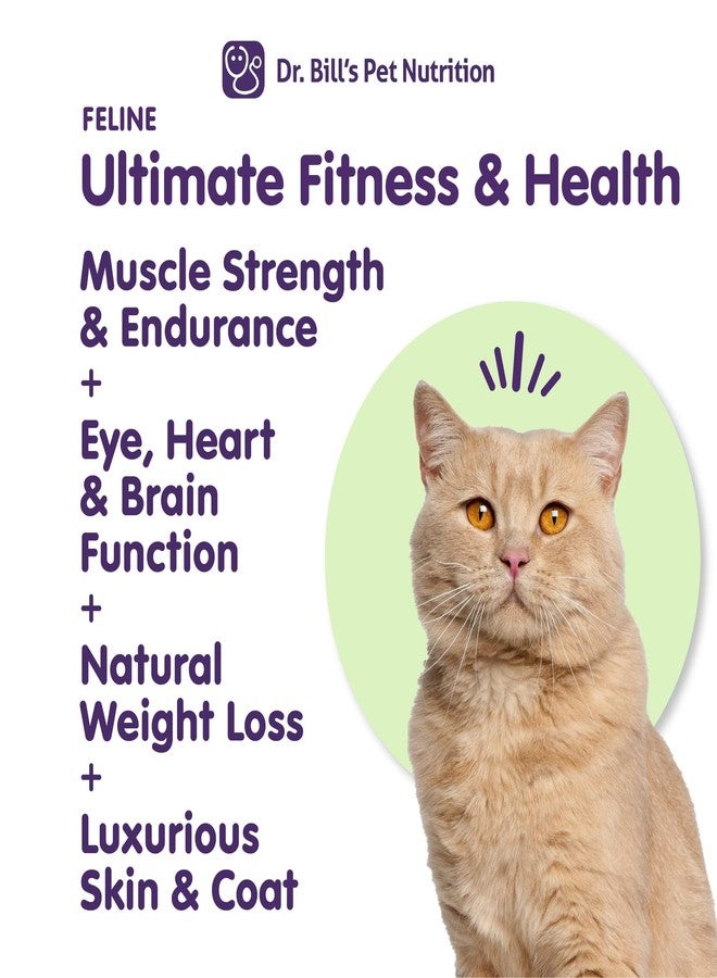Dr. Bill's Dr. Bill’s Feline Ultimate Fitness & Health | Cat Multivitamin Powder - Daily Supplement | Weight Control, Joint, Brain, Heart & Immune Support | Omega 3s, Collagen, B Vitamins, Taurine, Amino Acids - Image 3