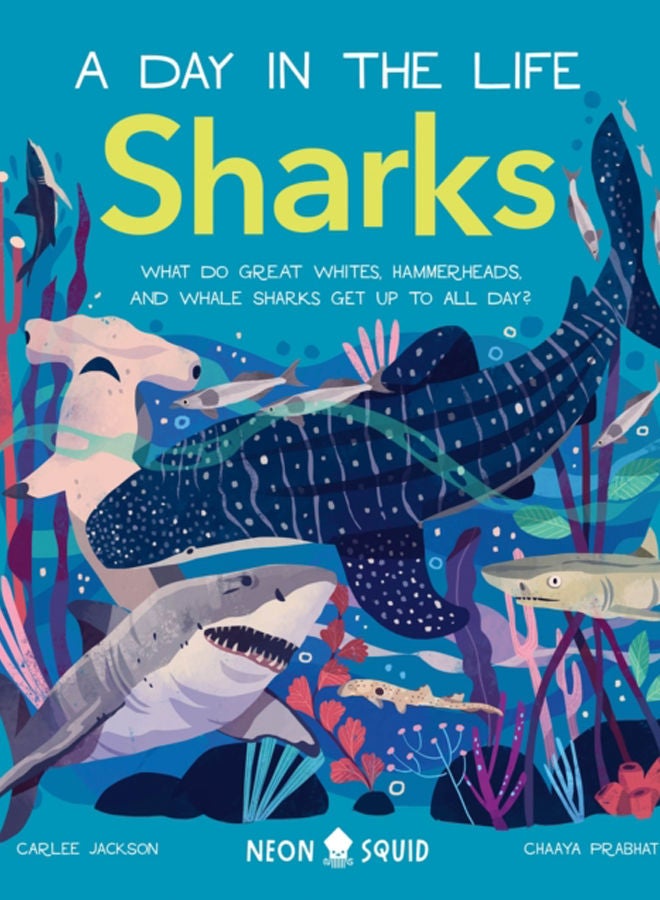 Sharks (A Day in the Life) : What Do Great Whites, Hammerheads, and Whale Sharks Get Up To All Day? 