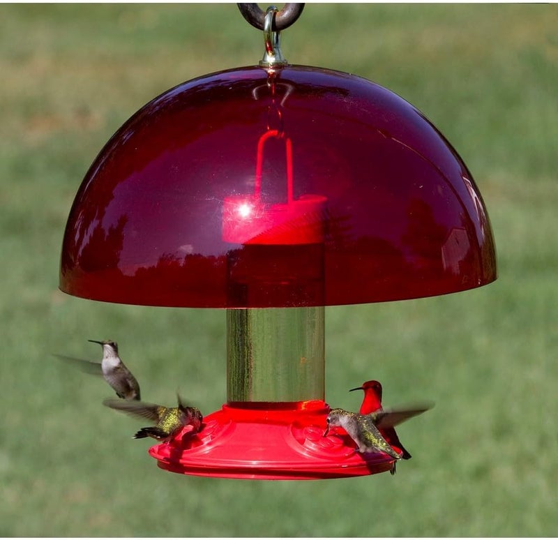 سونج بيرد إيسنشالز غطاء قبعة النحل الكبير مقاس 12 بوصة من Songbird Essentials: يحمي الرحيق ويجذب النحل إلى أوعية طعام الطيور. - Image 2
