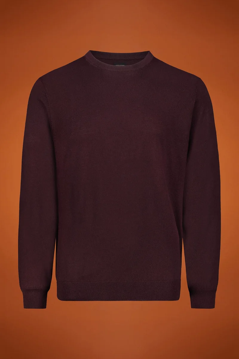 Men's regular fit crew neck jumper in 100% extra fine merino wool - Bordeaux