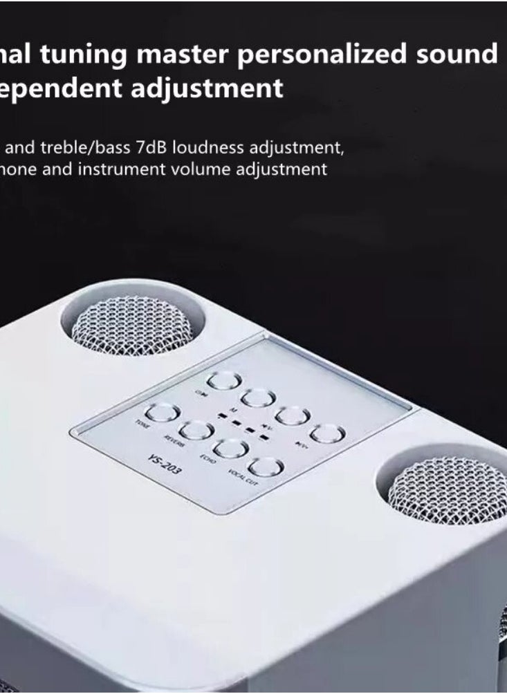 SDRD *Kokni*Karaoke Machine for Adults & Kids,Portable Bluetooth Karaoke Speaker with 2 Wireless Microphones PA Speaker System for Indoor Outdoor Party, Family Party  - Image 3