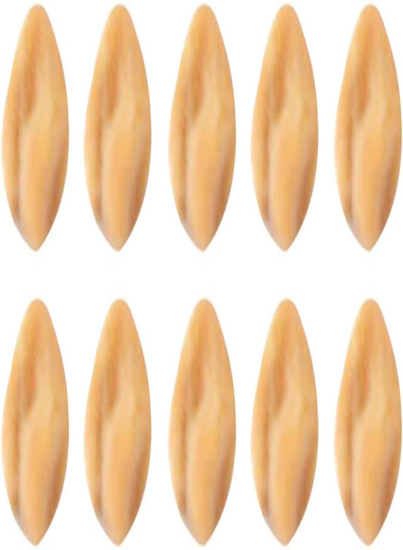 GGOOT seeds Green Garden Flower Plants 10Pcs/Bag Giant Cucurbit Seeds Non GMO Edible Annual Natural Bottle Gourd Calabash Seedlings for Garden   Cucurbit - Image 4