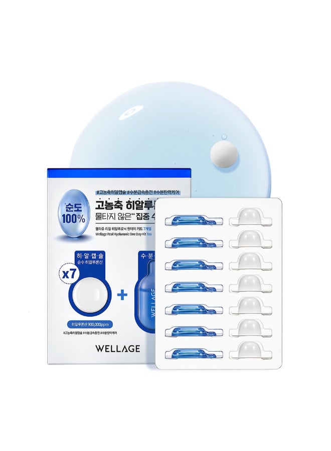 Wellage Real Hyaluronic One Day Kit 7ea - Image 1