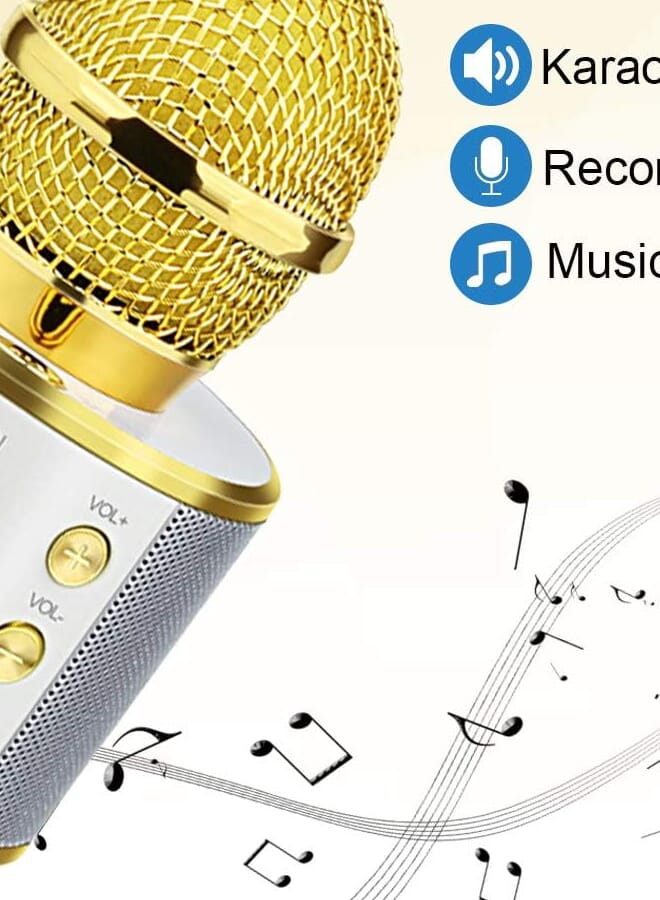 WS-858 Wireless Bluetooth Handheld Microphone Stand Karaoke Mike with Speaker Audio Recording for Cellphone (Gold/Silver) - Image 4