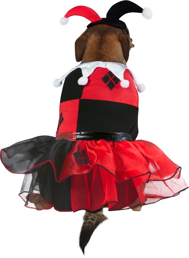 Rubies DC Comics Villains: Harley Quinn Pet Costume for Dogs or Cats by Rubies, XL - Image 3