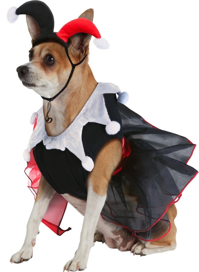 Rubies DC Comics Villains: Harley Quinn Pet Costume for Dogs or Cats by Rubies, XL - Image 2
