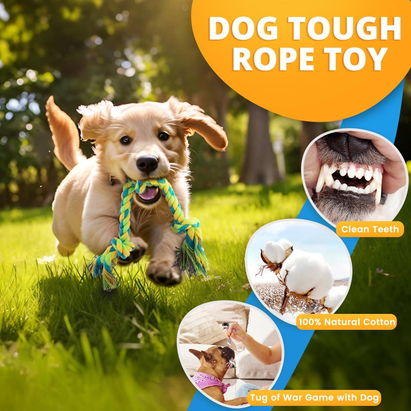 LOYEE Puppy Toys 8 Pack for Small Dogs, Luxury Dog Chew Toys with Squeaky Plush Toys, Rope Toys and Ball, Teething Toys for Puppy Supplies - Image 4