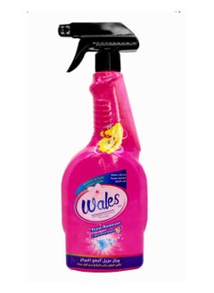 Wales Wales Stain Remover Concentrated 700ml 