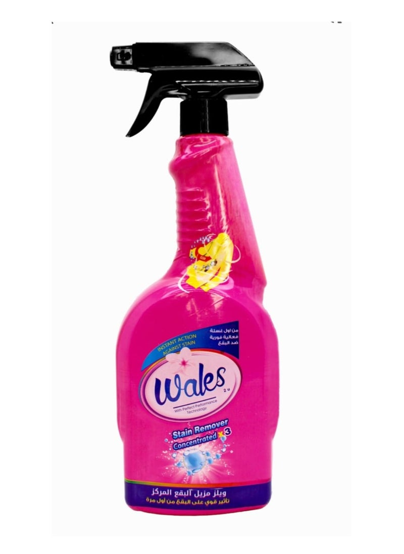 Wales Wales Stain Remover Concentrated 700ml 