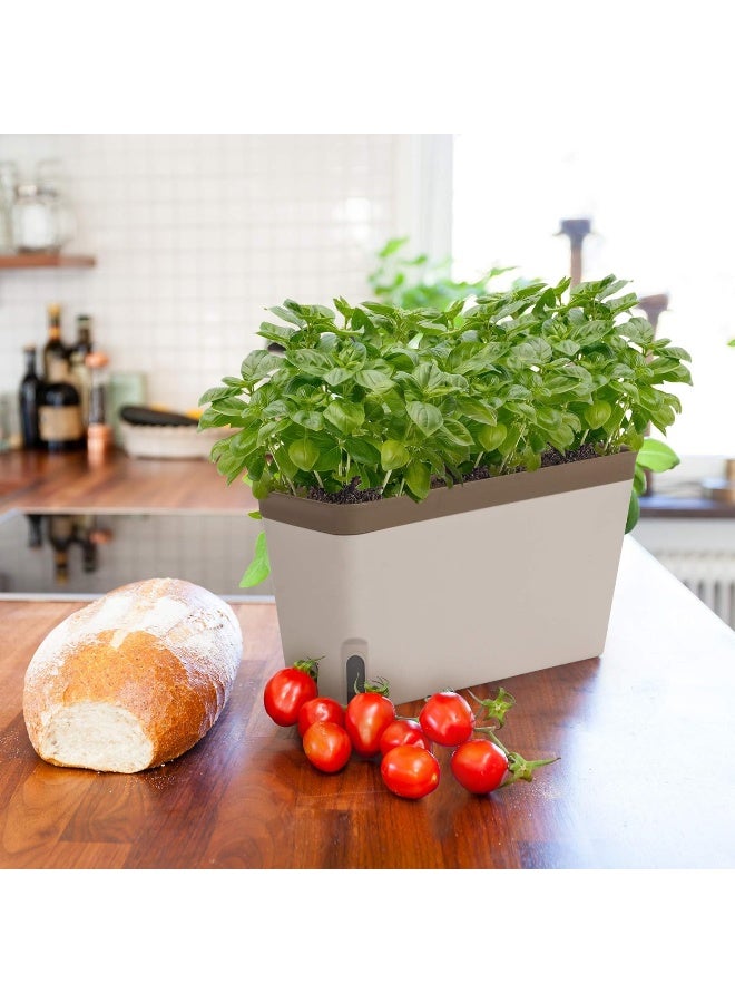 Amazing Creation Window Herb Planter Box, Vibrant Window Herb Garden, Self-Watering Rectangular Planter for Kitchen, Plants, and Succulents  - Image 2