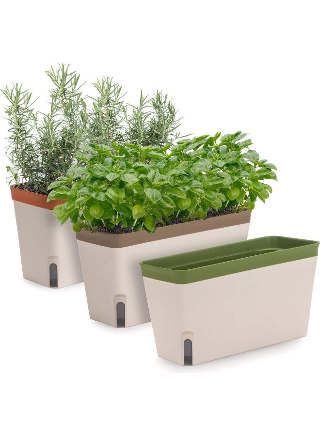 Amazing Creation Window Herb Planter Box, Vibrant Window Herb Garden, Self-Watering Rectangular Planter for Kitchen, Plants, and Succulents  - Image 4