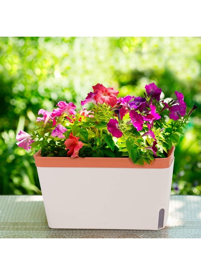 Amazing Creation Window Herb Planter Box, Vibrant Window Herb Garden, Self-Watering Rectangular Planter for Kitchen, Plants, and Succulents  - Image 5