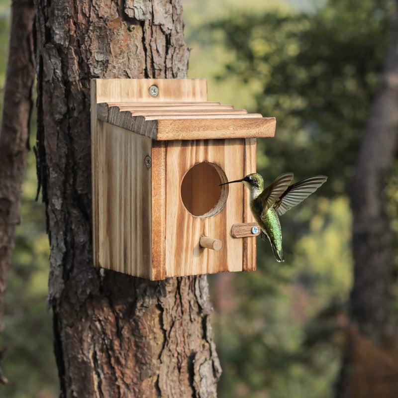 NATUREYLWL Humming Bird Houses for Outdoor Hanging Small Bird Nesting Box - Wood Nest for Robin, Hummingbird, Parakeet, Bluebird - Perch House for Outdoors Birdhouse Birds - Made of Pine Wood - Image 2