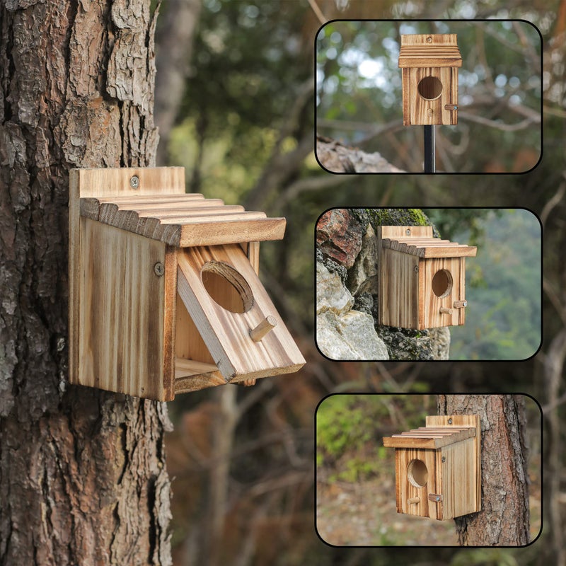 NATUREYLWL Humming Bird Houses for Outdoor Hanging Small Bird Nesting Box - Wood Nest for Robin, Hummingbird, Parakeet, Bluebird - Perch House for Outdoors Birdhouse Birds - Made of Pine Wood - Image 3