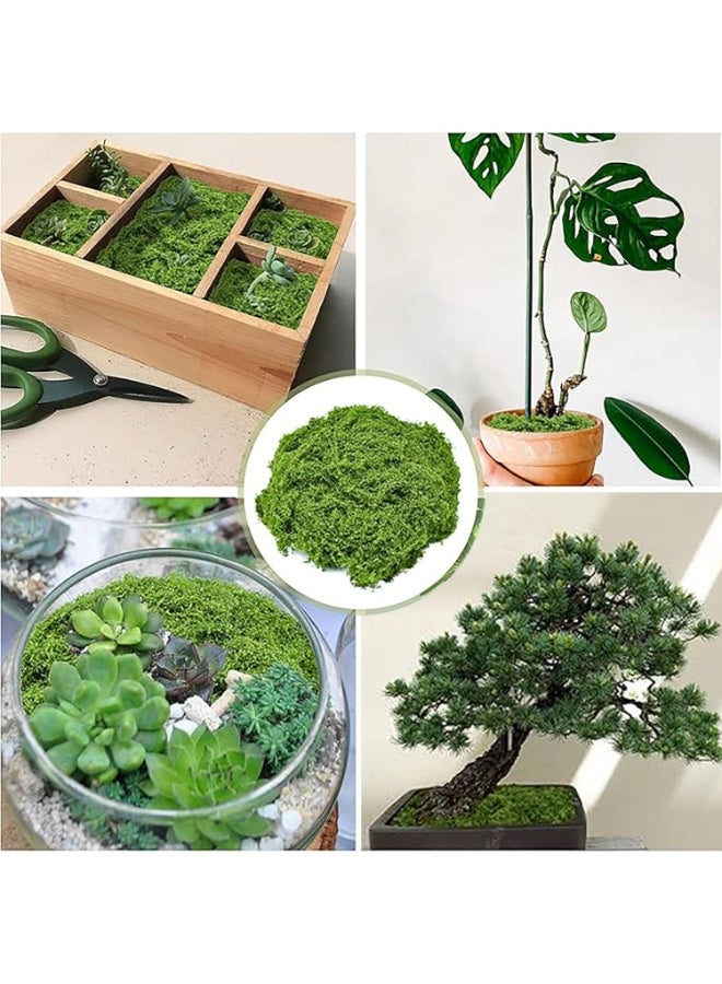 توكسيتي 200 غرام من الطحالب الخضراء الصناعية لنباتات الأصص، طحالب صناعية محاكية، تنسيق المناظر الطبيعية وتزيين الحدائق، ديكور حدائق الفناء، تنسيق الطاولات، إكسسوارات حدائق الجنيات، تنسيق زهور حفلات الزفاف - Image 5