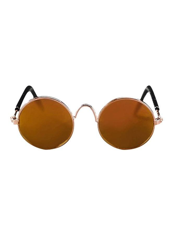 Universal Sunglasses For Pets
