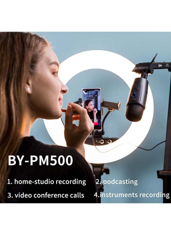 BOYA USB Condenser Microphone, BY-PM500 USB Studio Microphone for Windows, Mac & PC, with Detachable Stand for Vocals, YouTube Streaming, Gaming, Conference Call, ASMR, Podcast Video Recording
