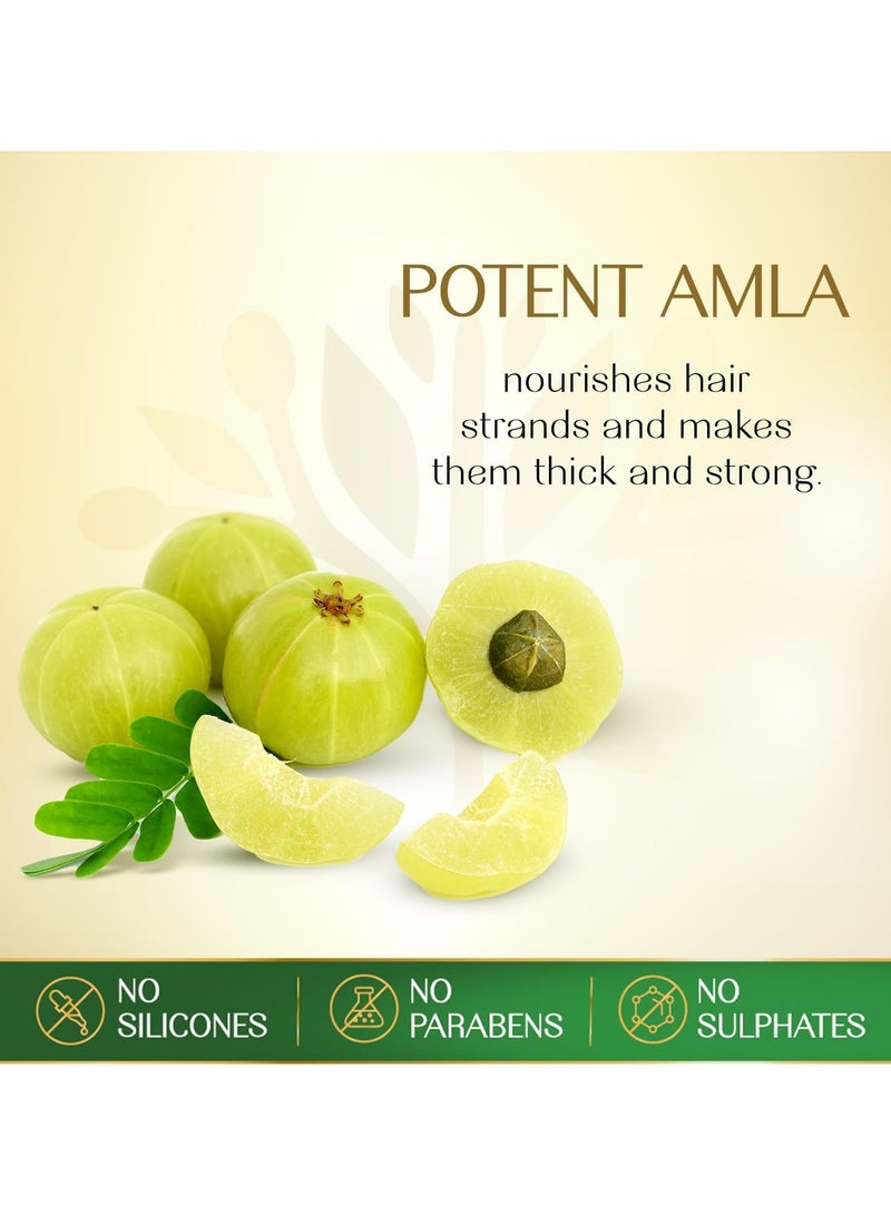 Herbsindia Amla & 7 Herbal Seeds Hair Oil   280ml - Image 5