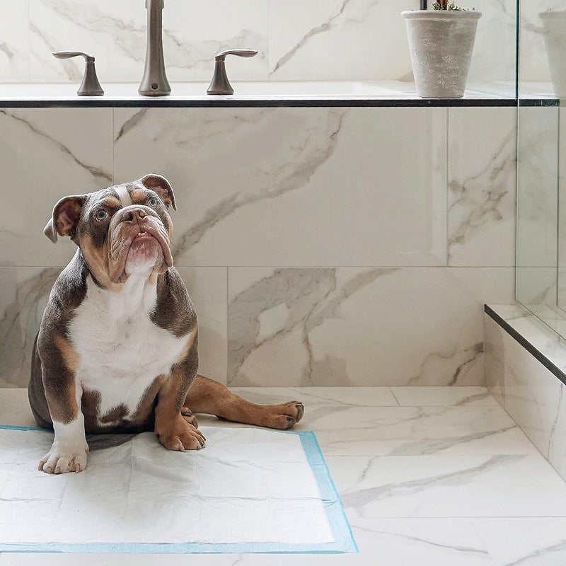 Four Paws Wee-Wee Standard Puppy Pads, 50 Ct - Image 3