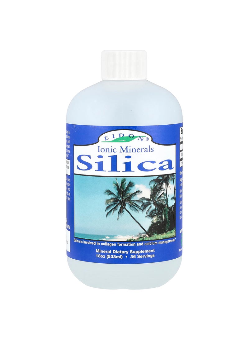 Ionic Minerals, Silica, 18 oz (533 ml)