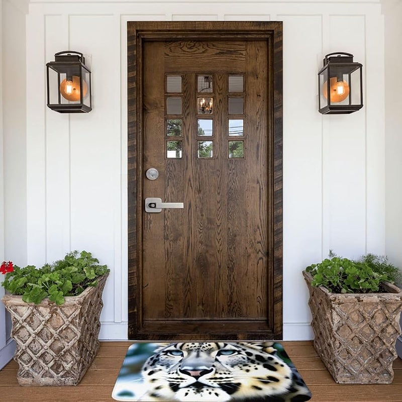 Phayah Snow Leopard Doormat 16x24 Inches Indoor Outdoor Front Door Mat - Image 1