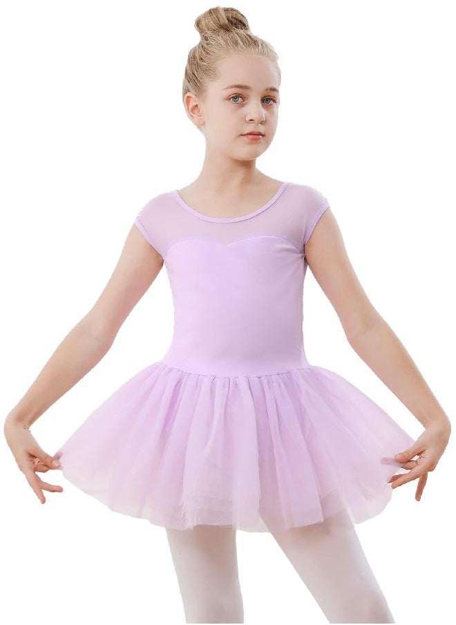 Stelle Stelle Girls Ballet Leotards Dance Tutu Skirt Dress Outfit (Toddler/Little Kid/Big Kid) (Purple (Mesh cap sleeve), 2-3T)  - Image 1