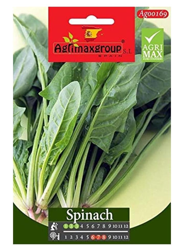 Agrimax Spinach Premium Quality Seeds (Made in Spain) by Agrimaxgroup®