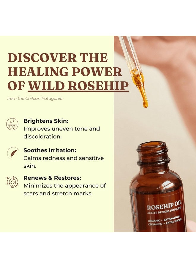 Offernova Organic Rosa de Mosqueta Oil- USDA Certified Rosehip Seed Oil Pure Cold Pressed, Repairs & Brightens Skin - Gua Sha Massage, Face, for All Skin Types - Aceite Facial 1OZ - Image 3