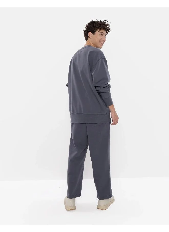 American Eagle AE Oversized Crewneck Sweatshirt