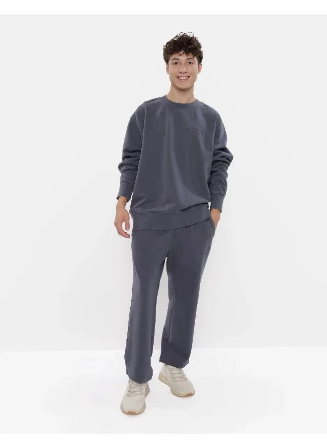 American Eagle AE Oversized Crewneck Sweatshirt