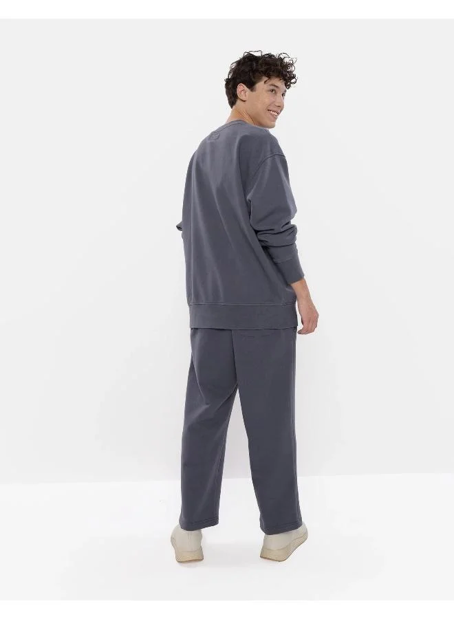 American Eagle AE Oversized Crewneck Sweatshirt