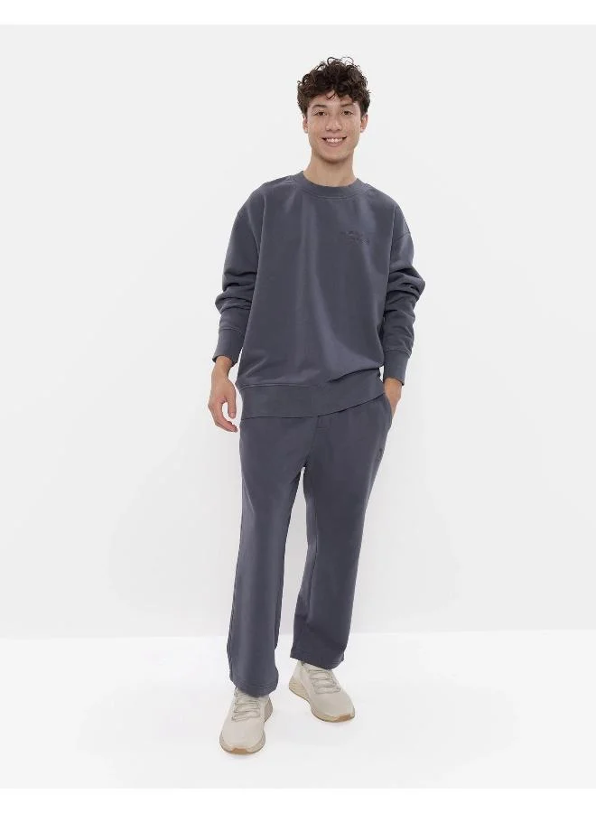 American Eagle AE Oversized Crewneck Sweatshirt