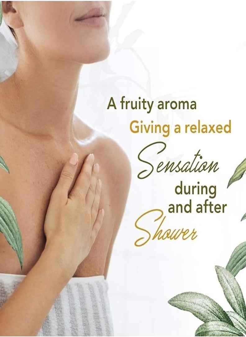 Khan AL Saboun - Green Tea & Lemon Grass Shower Gel - Natural & Organic Skincare for Refreshing and Rejuvenating - Image 1