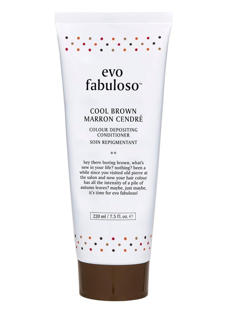 إيفو EVO Fabuloso - بلسم معزز للشعر المصبوغ - علاج مغذي مع تعزيز لون فوري للشعر الجاف - Image 1