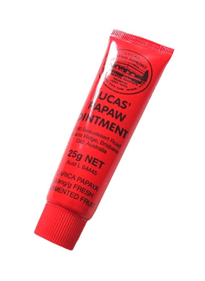 Papaw Ointment Lip Applicator 25grams - pzsku/ZFB2D8E3DAFAFA59AAFC9Z/45/_/1720420851/677d3109-5e95-4715-9d23-2eb330529274