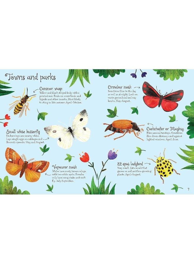 Usborne Bugs to Spot - Image 4