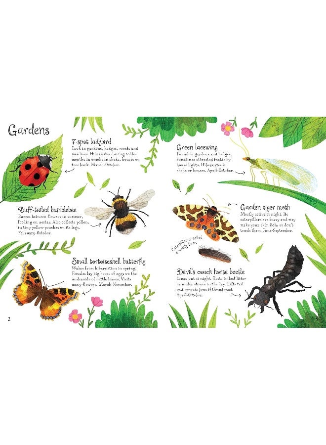 Usborne Bugs to Spot - Image 2