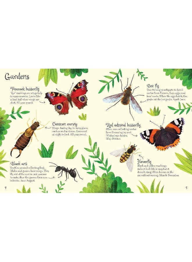 Usborne Bugs to Spot - Image 3