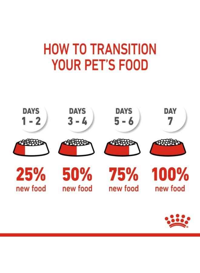 رويال كانين تغذية صحة القطط - الأم والقطط الصغيرة - 4 كجم - Image 4