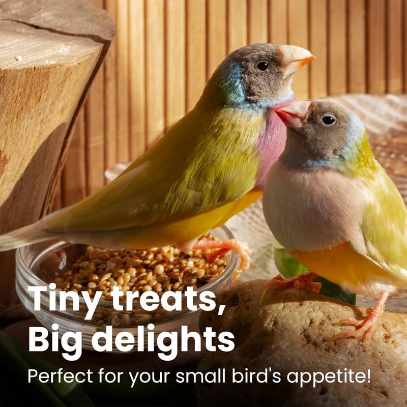 BRANDSFINITY Plain Bird Food For Small Birds - Image 3