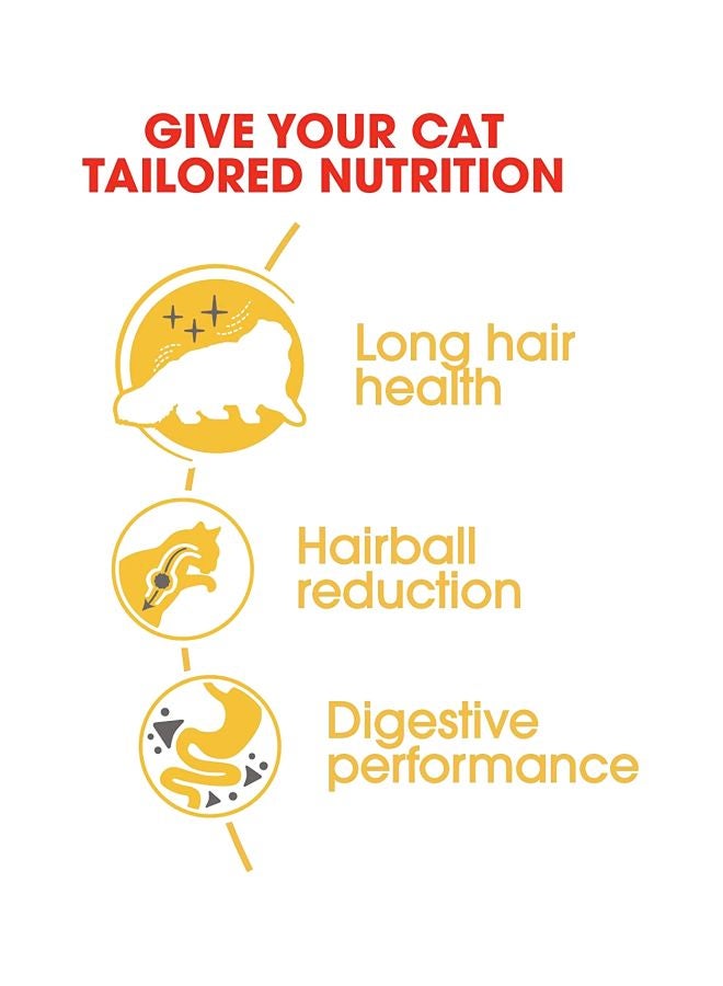 ROYAL CANIN Persian Adult Dry Food 400gm - Image 2