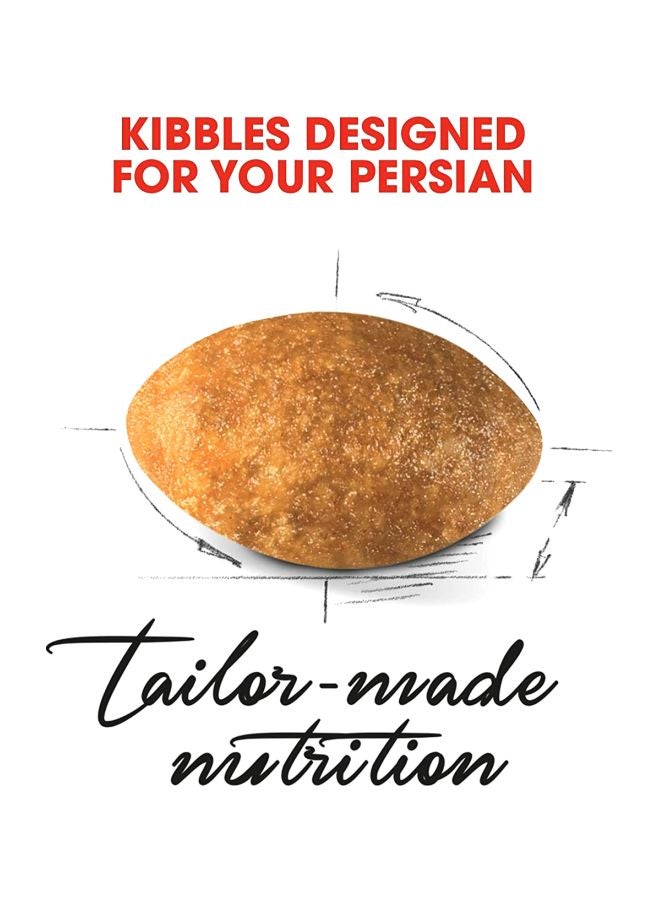 ROYAL CANIN Persian Adult Dry Food 400gm - Image 3