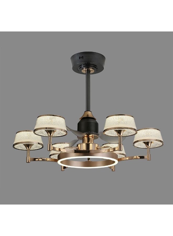 DANUBE HOME Lori Ceiling Fans Iron+Alu+Acrylic 76*H53Cm Led Golden+Black  - Image 2